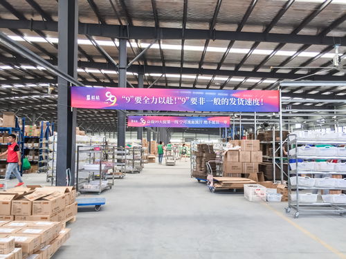 電商倉儲物流問題的五大建議 聚焦普通貨物倉儲服務